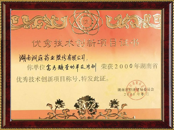 湖南省優(yōu)秀技術創(chuàng)新項目